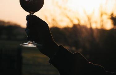 Siedlisko Słoneczny Jar - Foto 30