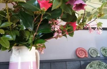 Windy Hill - Three Cliffs Bay, Gower - Foto 18