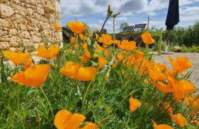 Domaine du Raysse - Photo 31