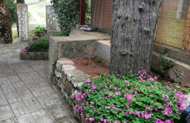 Apartments Elena & Damir - Foto 11