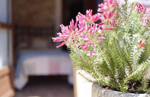 Casa Rural La Tayuela - Foto 17