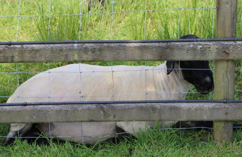 Brook Lodge - Foto 26