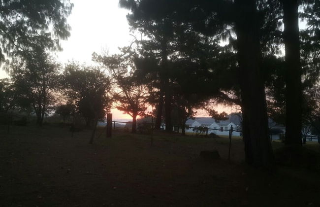 Anford Country House - Photo 17