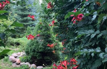 U Wrót Bieszczad - Foto 39