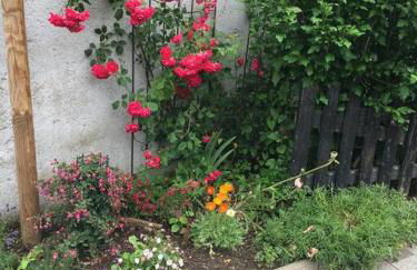 Gemütliche Wohnung auf dem Ziegenhof - Foto 12