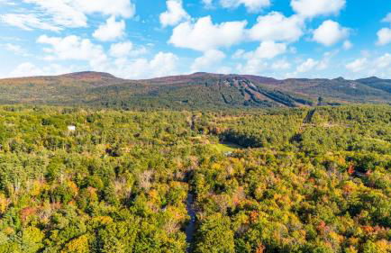 Minutes to Downtown & National Forest Ash Lodge - Foto 43