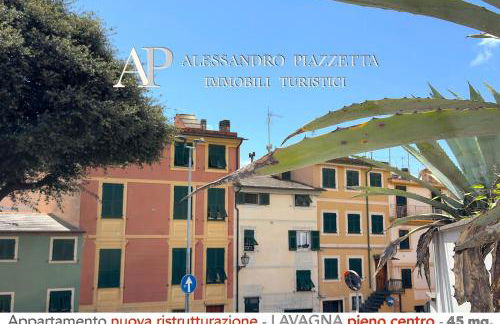 Casa Janson - Foto 24