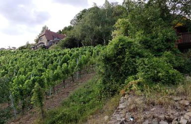 Ferienwohnung am Hollergraben - Foto 25