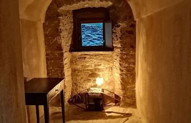 Az. Agr. IL PARADISO di Beatrice Bondielli - Foto 29