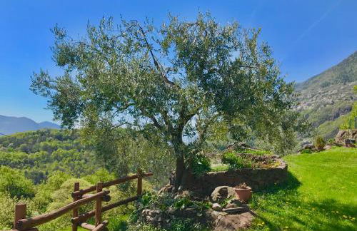 Casa Vacanze La CASA DEL SOLE - Foto 36