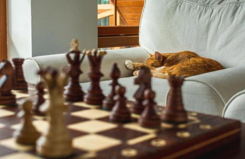 Pensjonat Rybical - Foto 30