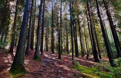 Casa da Igreja-Abadim - Foto 20