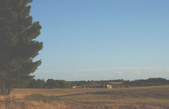 Masseria Chinunno - Foto 48