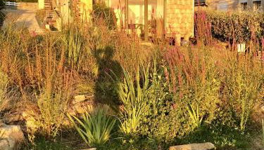 Dernier Ecolodge avant NewYork - Foto 4