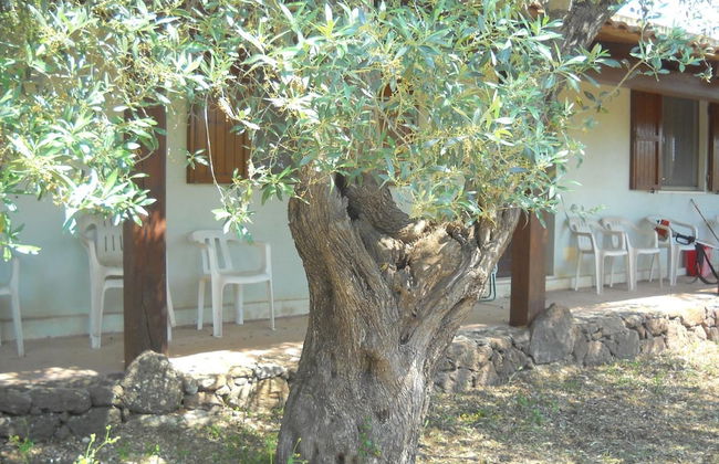 Agriturismo Su Tiresi - Foto 40