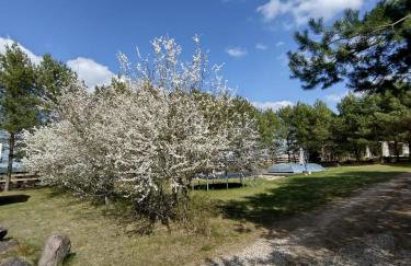 Kruszkanawierzbie - Foto 29