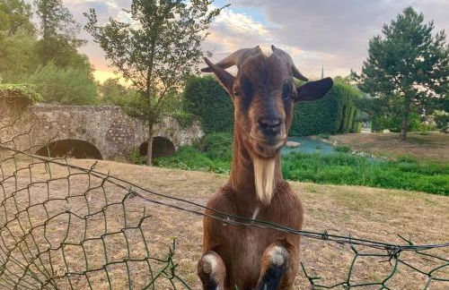 Le Lavoir Secret - hébergement atypique dans un joli cadre bucolique - Foto 32