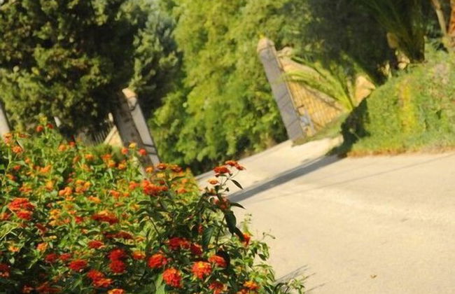 Agriturismo Savoca - Photo 22