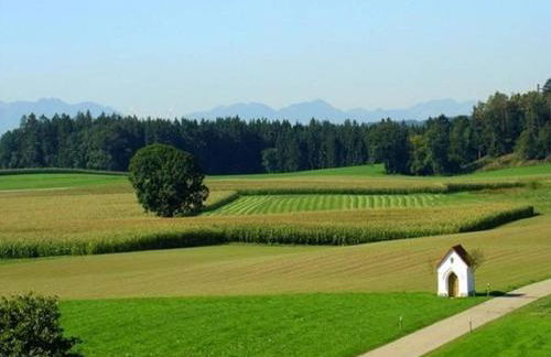 Eco-friendly Chalet Near the Lake in Asten - Foto 68