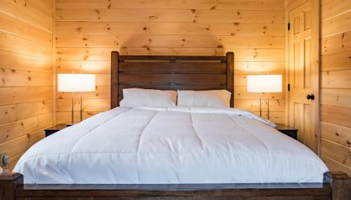 Single Island Shores - Foto 3