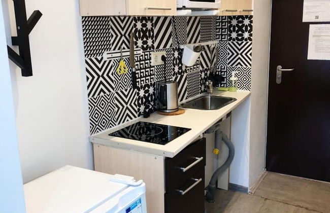 Norke Novoryazanskaya - Photo 7