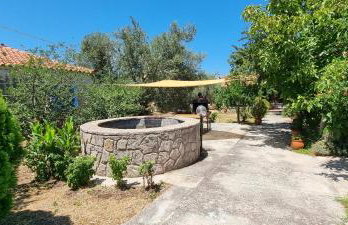 Residence Angeli - Photo 36