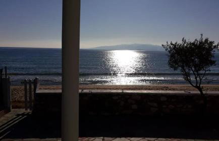 House Kokkalas on the beach - Photo 18