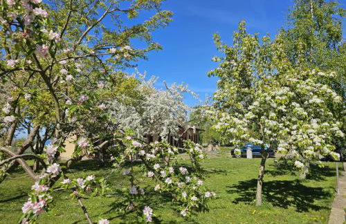 Hof am Meer "Seemöwe" - Foto 21
