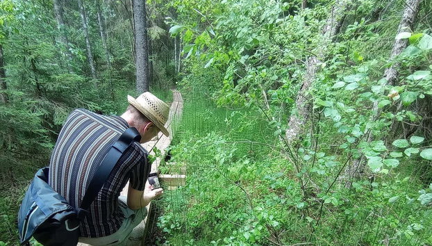 Trekking por el Parque Nacional Nuuksio - Foto 4