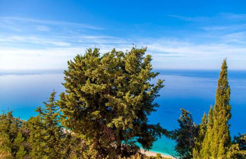 Ble on Blue - Photo 55