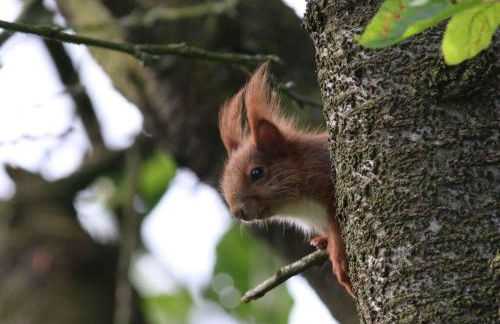 Romantic Thatched Roof House - Foto 35