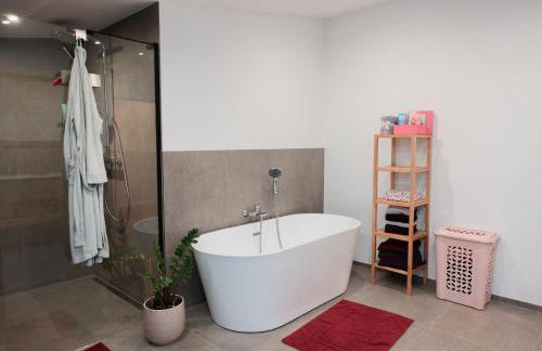 Hohenzollern Wellness Loft mit Panorama Sauna - Foto 77