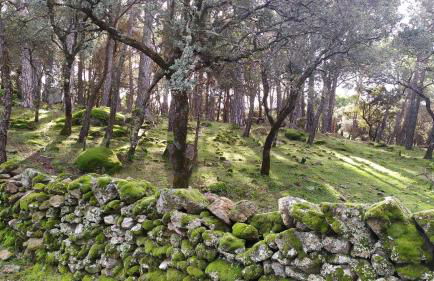 Apartamento El Castillo - Foto 61