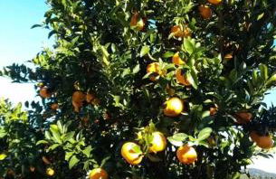 Pousada Santa Isabel - Photo 20