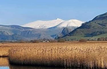 Jack's House - Foto 55