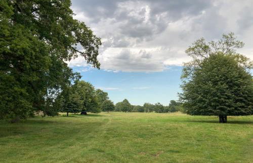 1A Erneston Crescent - Foto 34