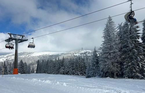 Altes Forsthaus - Fewo "Wiesental", privater "Spa" mit Sauna, Wanne und Relaxliegen, Todtnau- Feldberg - Foto 31