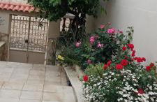 Kalomiris Thea Suite - Photo 20