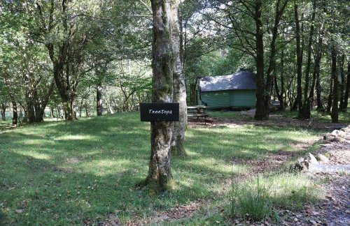 Tree Top Cabin with Private Hot Tub - Foto 24