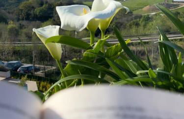 El Balcón de Oyambre - Vistas al mar y montaña - Photo 21