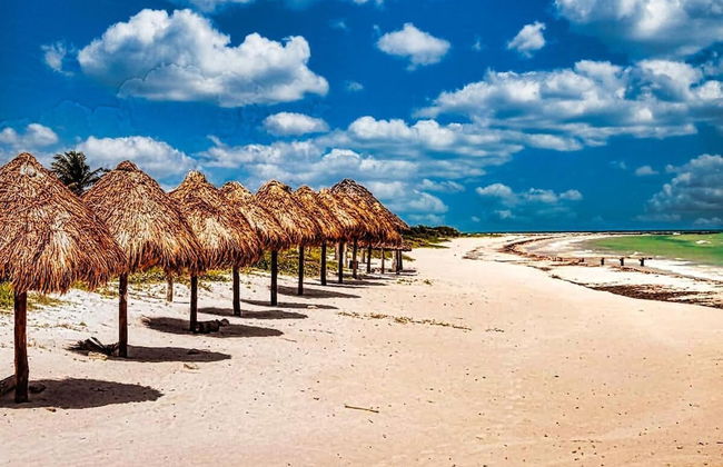 Hacienda Antigua Villa, 50m From Sandy Beach - Foto 27