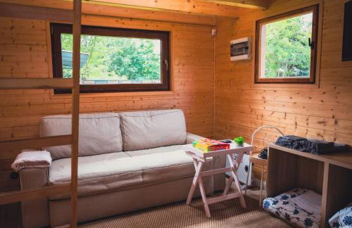 Large Holiday Villa With Sauna, Jacuzzi and Pool - Foto 66