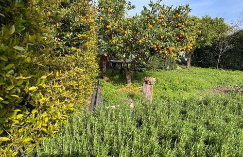 La Casetta di Lollò - Foto 52