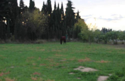 Mas de l'Olivier - Foto 22