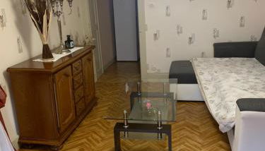 appartement fraize - Foto 4