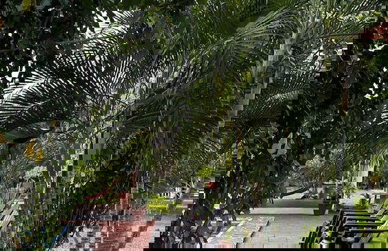 Paradise Bay - Foto 63