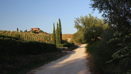 Maremma che vista! - Foto 2