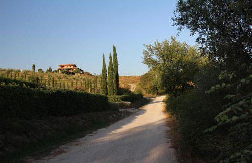 Maremma che vista! - Foto 2