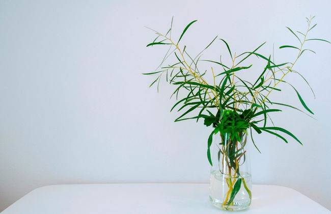 Vithos Aparthotel - Foto 11