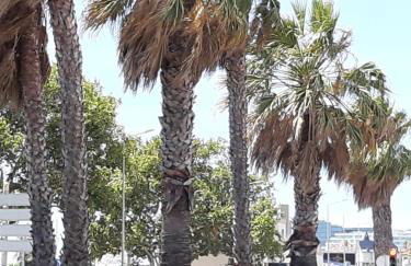 Estoril BeachFront Balcony apartment - Foto 48